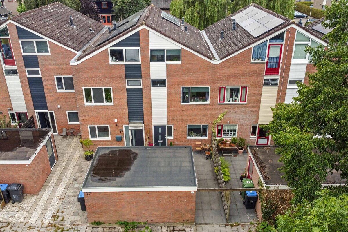 Maagdepalm 19
